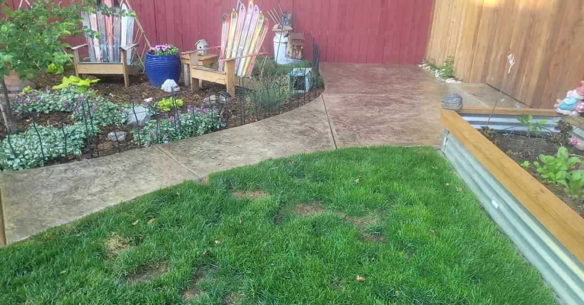 Enhancing Your Garden: Unique Landscape Elements with Custom Concrete by Co Custom Concrete and Overlays